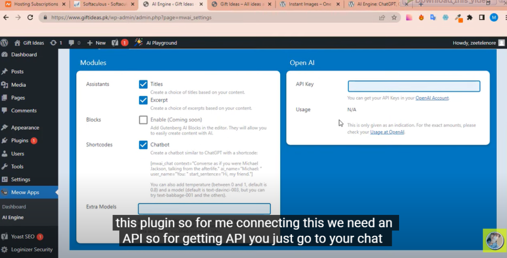 Connect with ChatGPT via API key to wordpress