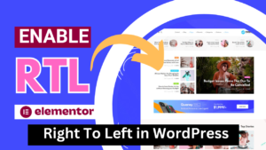 Steps to Enable RTL in Elementor and WordPress
