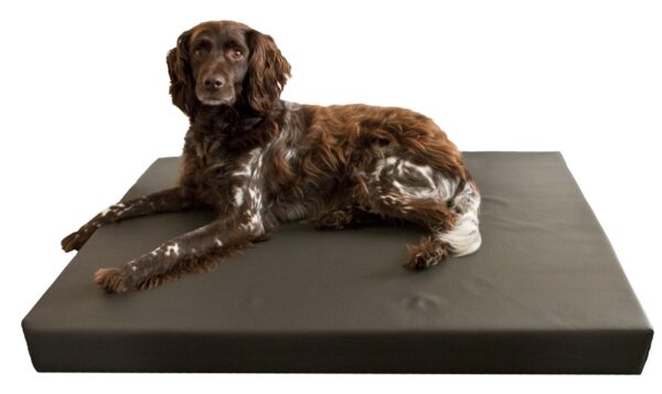 HD Dog Bed M - Image 2