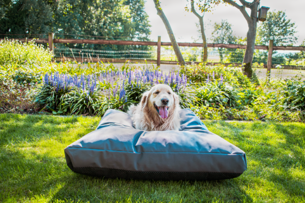 Let's Sleep Cushy Cloud Hondenkussen Buiten M Antraciet - Image 3