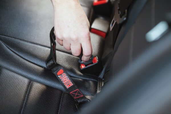 KONG Seat Belt Tether - Image 2