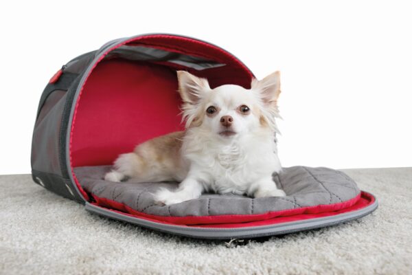 KONG 2-In-1 Pet Carrier and Travel Mat - Image 3