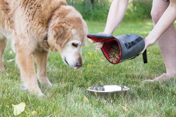 KONG Kibble Storage Bag - Image 3